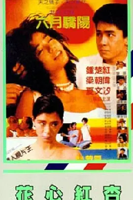 欧美成人观看免费版